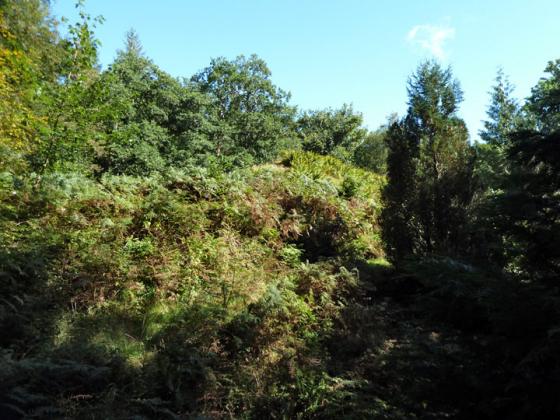 Cnocan Nan Cobhar (Long Cairn)
