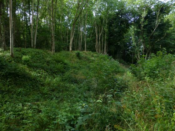 Brackenbury Camp (Hillfort)