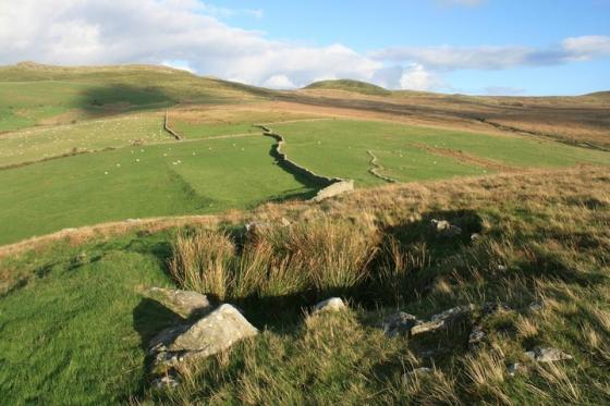 Dinas (Llanfairfechan) (Ancient Village / Settlement / Misc. Earthwork)
