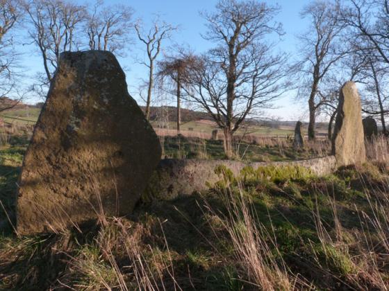 Sunhoney (Stone Circle)