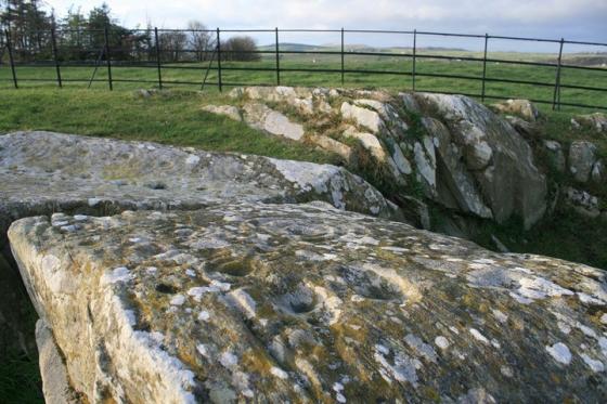 Drumtroddan Carved Rocks (Cup and Ring Marks / Rock Art)