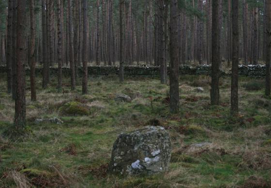 Broomrigg (Stone Circle)