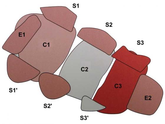 D6 Tynaarlo (Hunebed)