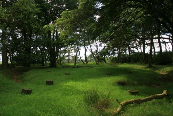 Bleasedale Circle (Timber Circle)