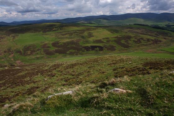 Black Meldon Fort (Hillfort)