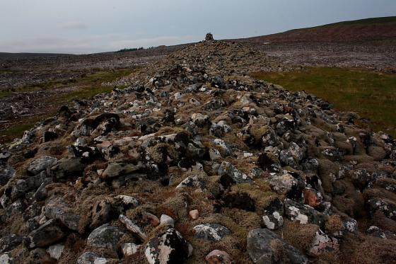 Kinbrace Hill (Chambered Cairn)