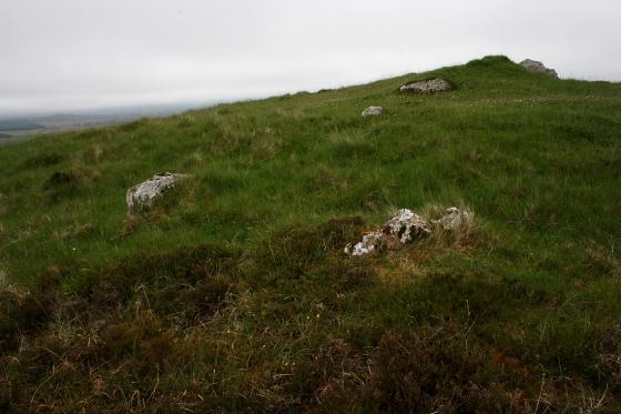 Hill of Shebster (Chambered Cairn)