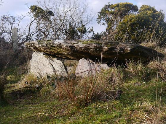 Barnagowlane West (Wedge Tomb)