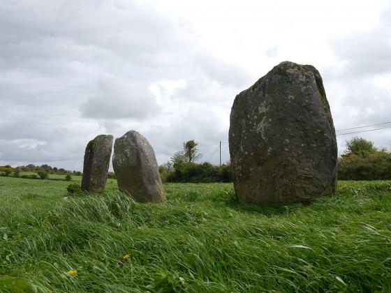 Rossnakilla (Stone Row / Alignment)