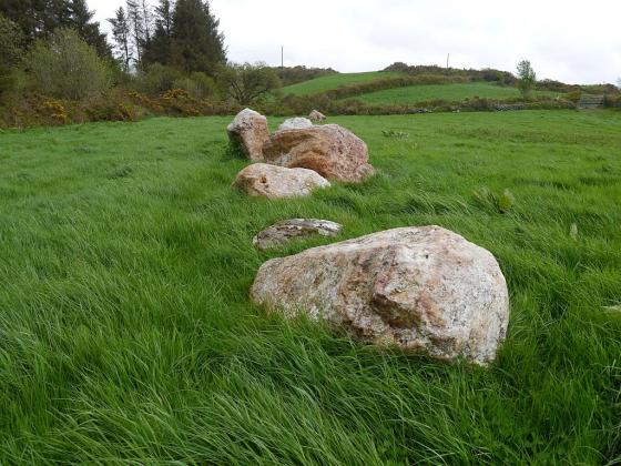 Knockanereagh (Stone Row / Alignment)