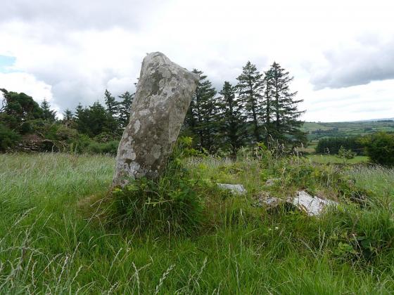 Knocknagappul (Standing Stones)