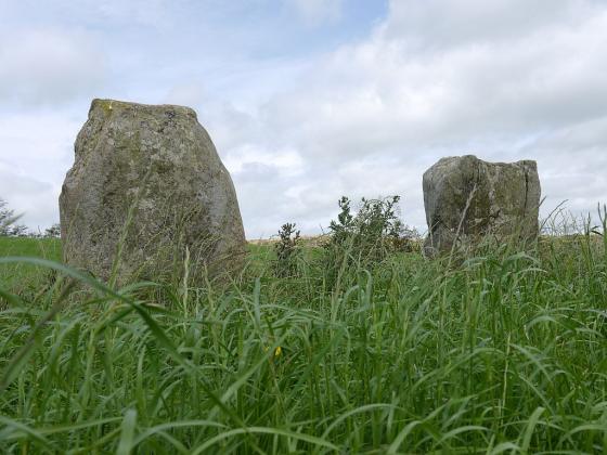 Knockawaddra E (Stone Row / Alignment)