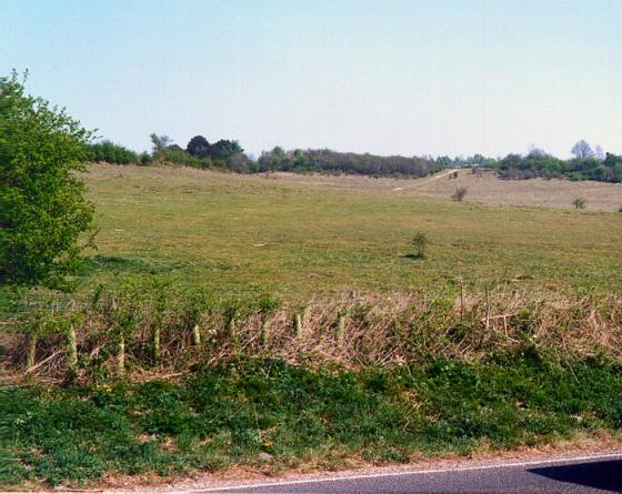 Woolbury (Hillfort)