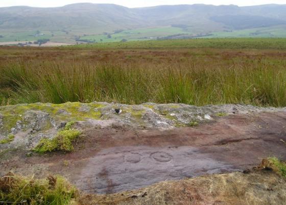Broughmore Wood (Cup and Ring Marks / Rock Art)