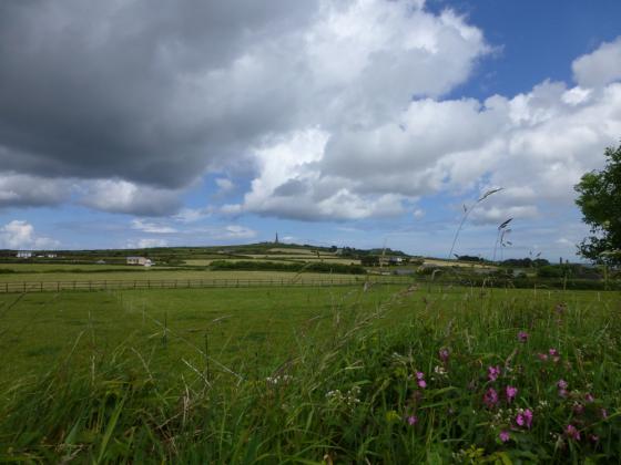 Carn Brea (Tor enclosure)