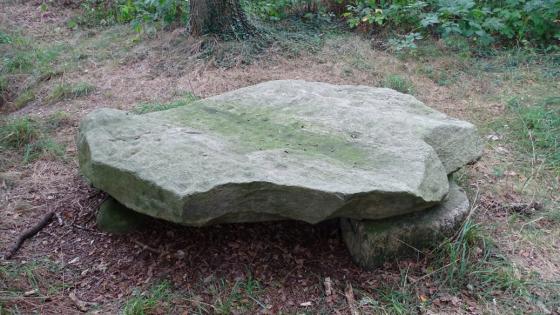 Bargloyer Steinkiste (Cist)