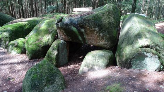 Werpeloh 1 (Passage Grave)