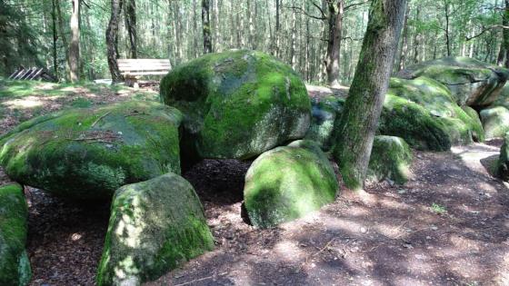 Werpeloh 1 (Passage Grave)