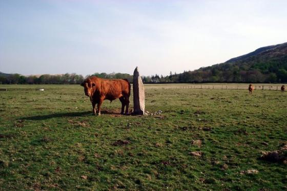 Gruline (Standing Stone / Menhir)
