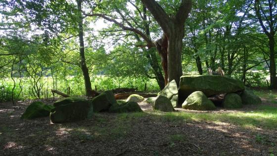 Heidenopfertisch (Passage Grave)