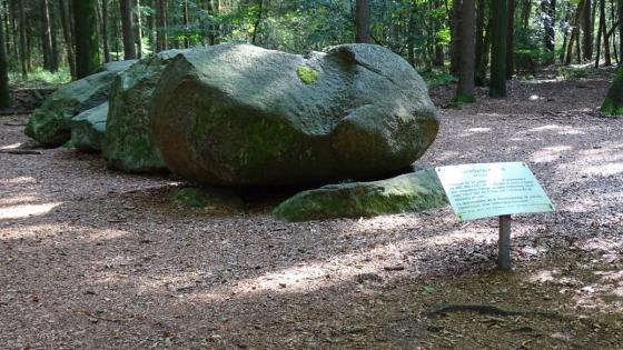 Visbeker Bräutigam 5 (Chambered Tomb)