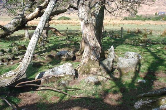 Lochbuie Kerb Cairn (Kerbed Cairn)