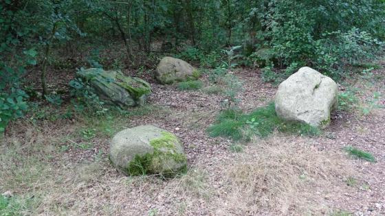 Kleinenknetener Steine 3 (Chambered Tomb)