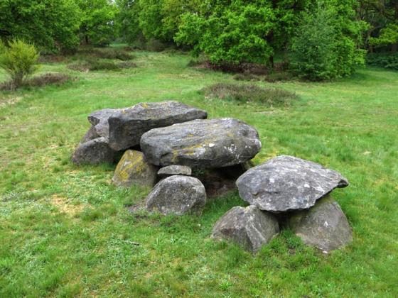 D41 Emmermeer (Hunebed)