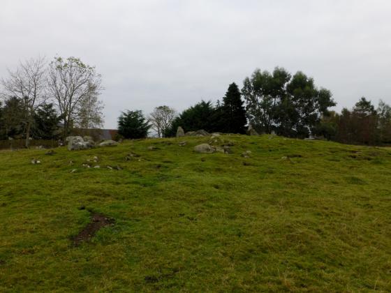 Muir of Conan (Chambered Cairn)