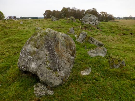 Muir of Conan (Chambered Cairn)