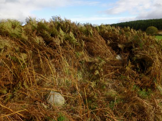Culdoich South (Clava Cairn)