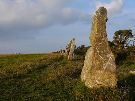 The Nine Maidens (Stone Row / Alignment)