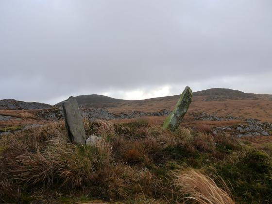 Inchinanagh (Standing Stones)