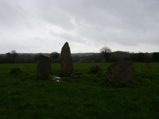 Carrigaphooca (Stone Circle)