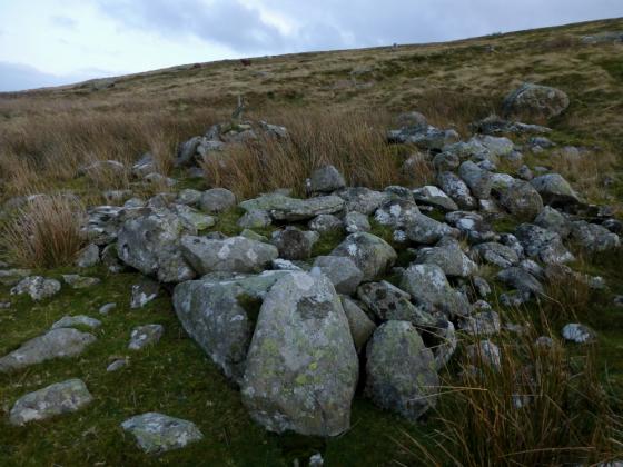 Foel Lwyd (north) (Barrow / Cairn Cemetery)