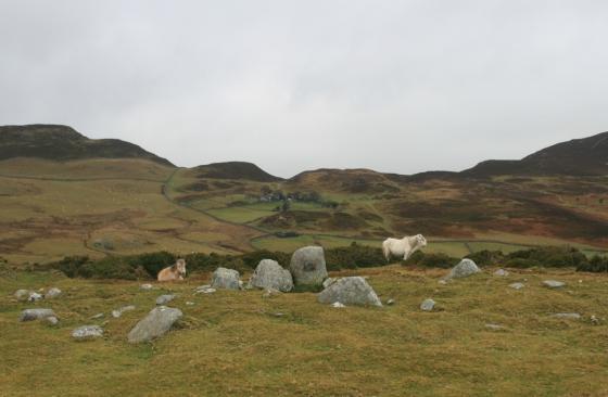 Waen Gyrach (Cairn(s))