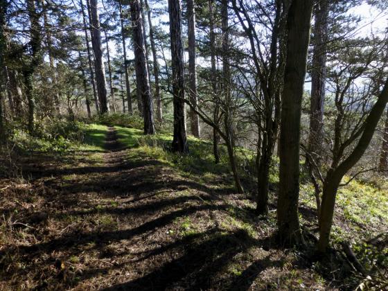 Churchdown Hill (Ancient Village / Settlement / Misc. Earthwork)