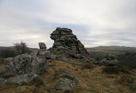 Vixen Tor (Cist)