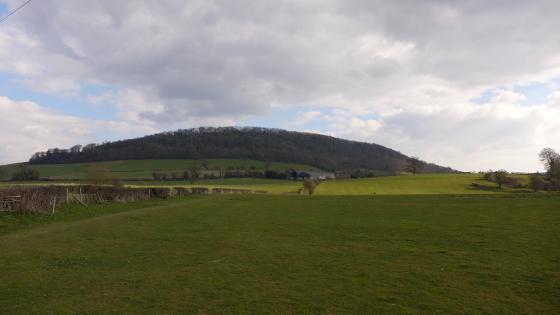 Norton Camp (Shropshire) (Hillfort)