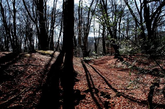 Ambresbury Banks (Ancient Village / Settlement / Misc. Earthwork)