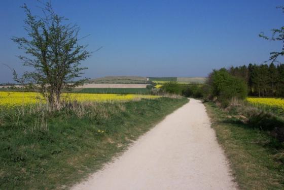 The Ridgeway