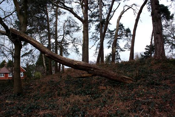 Petersfield Heath (Barrow / Cairn Cemetery)
