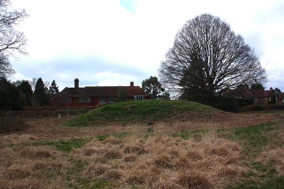 Petersfield Heath (Barrow / Cairn Cemetery)