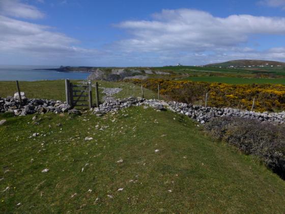 The Knave (Cliff Fort)