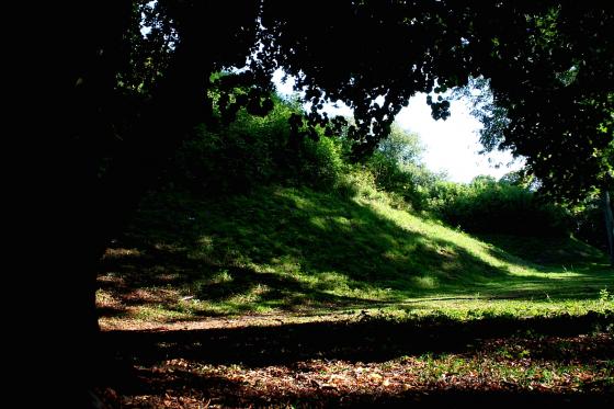 Bartlow Hills (Round Barrow(s))
