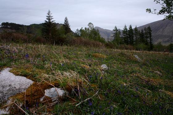 Gualachulain, Loch Etive (Round Cairn)