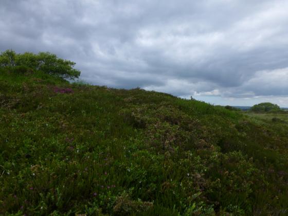 Goonhilly Down (Cairn(s))