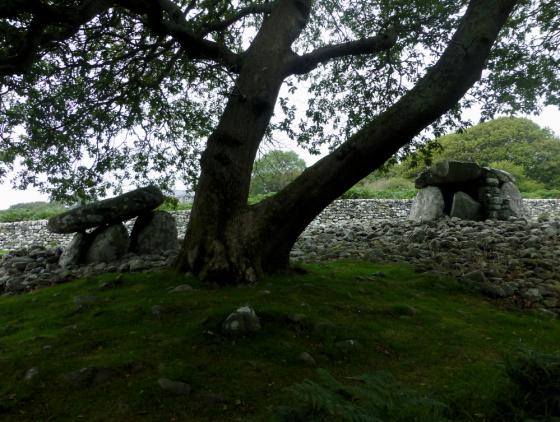 Dyffryn Ardudwy (Dolmen / Quoit / Cromlech)