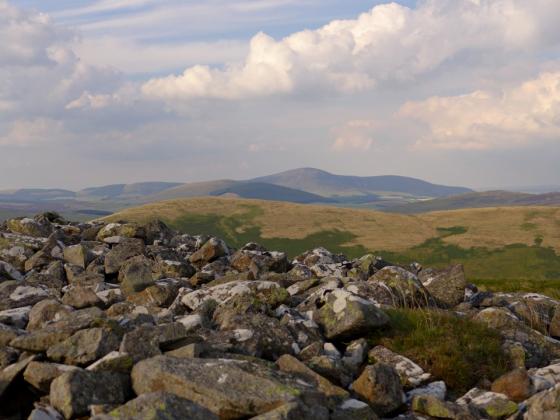 Arbory Hill (Hillfort)