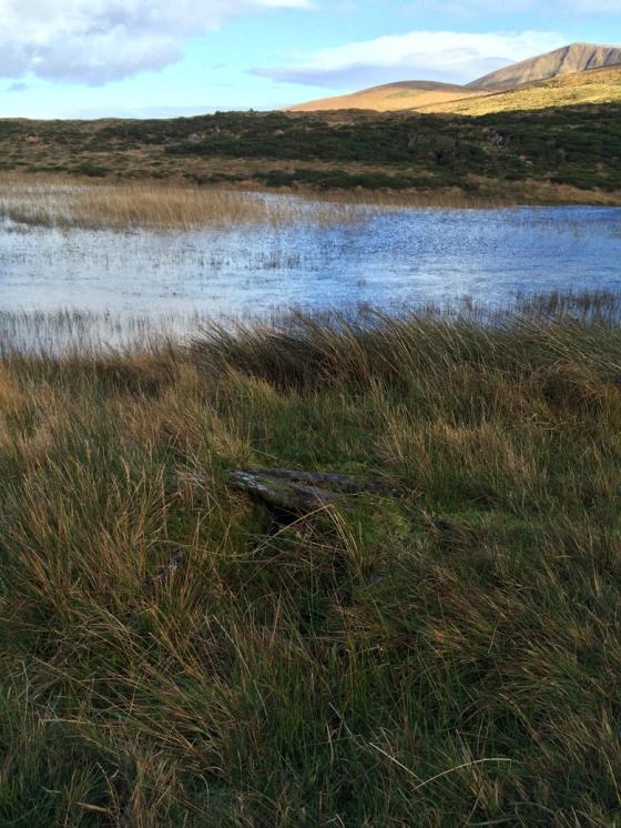 An Choill Mhór (Kilmore) (Cist)